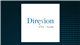 Direxion Daily PANW Bull 2X Shares logo