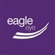 Eagle Eye Solutions Group stock logo