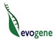 Evogene Ltd. stock logo