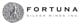 Fortuna Silver Mines stock logo