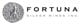 Fortuna Silver Mines Inc. stock logo