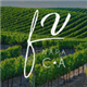 Fresh Vine Wine, Inc. stock logo