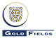 Gold Fields stock logo