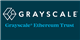 Grayscale Ethereum Trust (ETH) stock logo