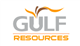 Gulf Resources, Inc. stock logo