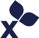 Incannex Healthcare Inc. stock logo