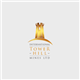 International Tower Hill Mines Ltd. stock logo