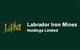 879482 (LIM.TO) logo