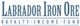Labrador Iron Ore Royalty Co. stock logo