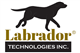 Labrador Resources Inc. stock logo