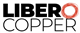 Libero Copper & Gold Co. stock logo