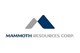 Mammoth Resources Corp. stock logo