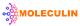 Moleculin Biotech, Inc. stock logo
