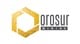Orosur Mining Inc. stock logo