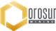 Orosur Mining Inc. stock logo