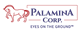 Palamina Corp. stock logo