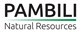 Pambili Natural Resources Co. stock logo