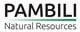 Pambili Natural Resources Co. stock logo