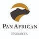 Pan African Resources PLC stock logo