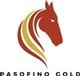 Pasofino Gold Limited stock logo