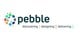Pebble Beach Systems Group plc stock logo