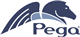 Pegasystems Inc.d stock logo