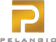 Pelangio Exploration Inc. stock logo