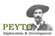 Peyto Exploration & Development Corp. stock logo