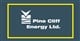 Pine Cliff Energy Ltd. stock logo
