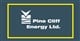 Pine Cliff Energy stock logo