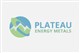 Plateau Energy Metals stock logo