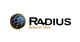 Radius Gold Inc. stock logo