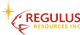 Regulus Resources Inc. stock logo