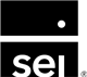 SEI Select Small Cap ETF stock logo