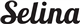 Selina Hospitality stock logo