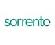 Sorrento Therapeutics, Inc. stock logo