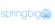 SpringBig stock logo