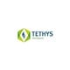 Tethys Petroleum Limited stock logo