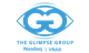 The Glimpse Group, Inc. stock logo
