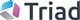 Triad Group plc stock logo