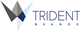 Trident Brands Incorporated stock logo