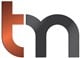 Trigon Metals Inc. stock logo