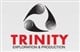 Trinity Exploration & Production plc stock logo