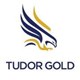 Tudor Gold stock logo
