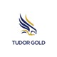 Tudor Gold stock logo