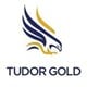 Tudor Gold Corp. stock logo