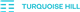 Turquoise Hill Resources Ltd. stock logo