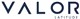 Valor Latitude Acquisition logo