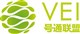 Value Exchange International, Inc. stock logo