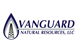 Vanguard Natural Resources Inc stock logo